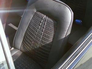 Gator Skin Interior 